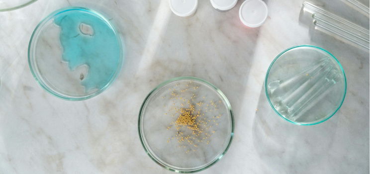 Regulatory Expertise